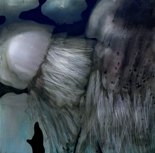 Jellyfishes, 1