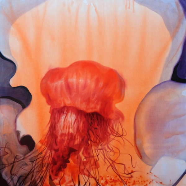Jellyfishes, 2
