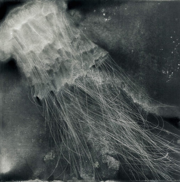 Jellyfishes, 3